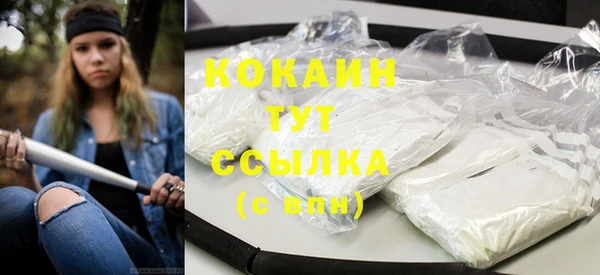 прущий лед Алзамай