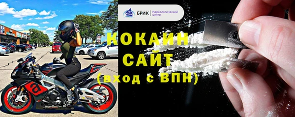 прущий лед Алзамай